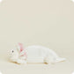 Axolotl Warmies Junior